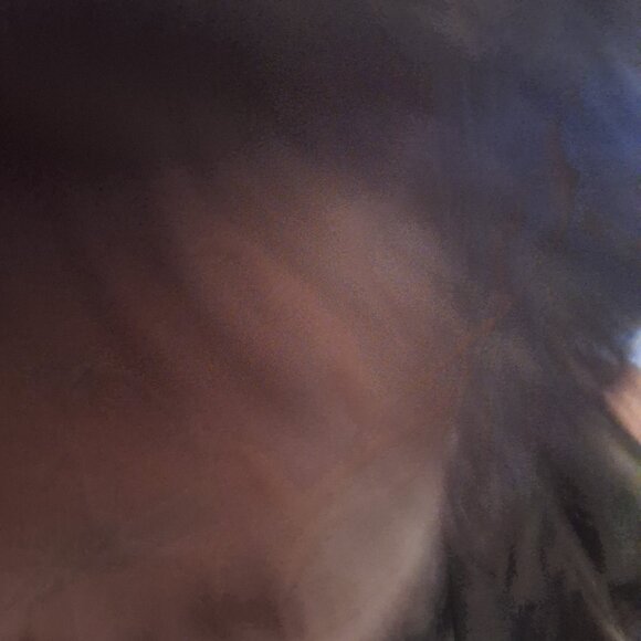 basic edition button down shirt - Picture 8 of 12